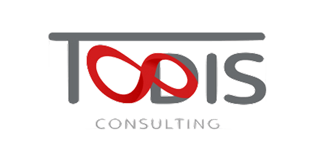 Todis Consulting