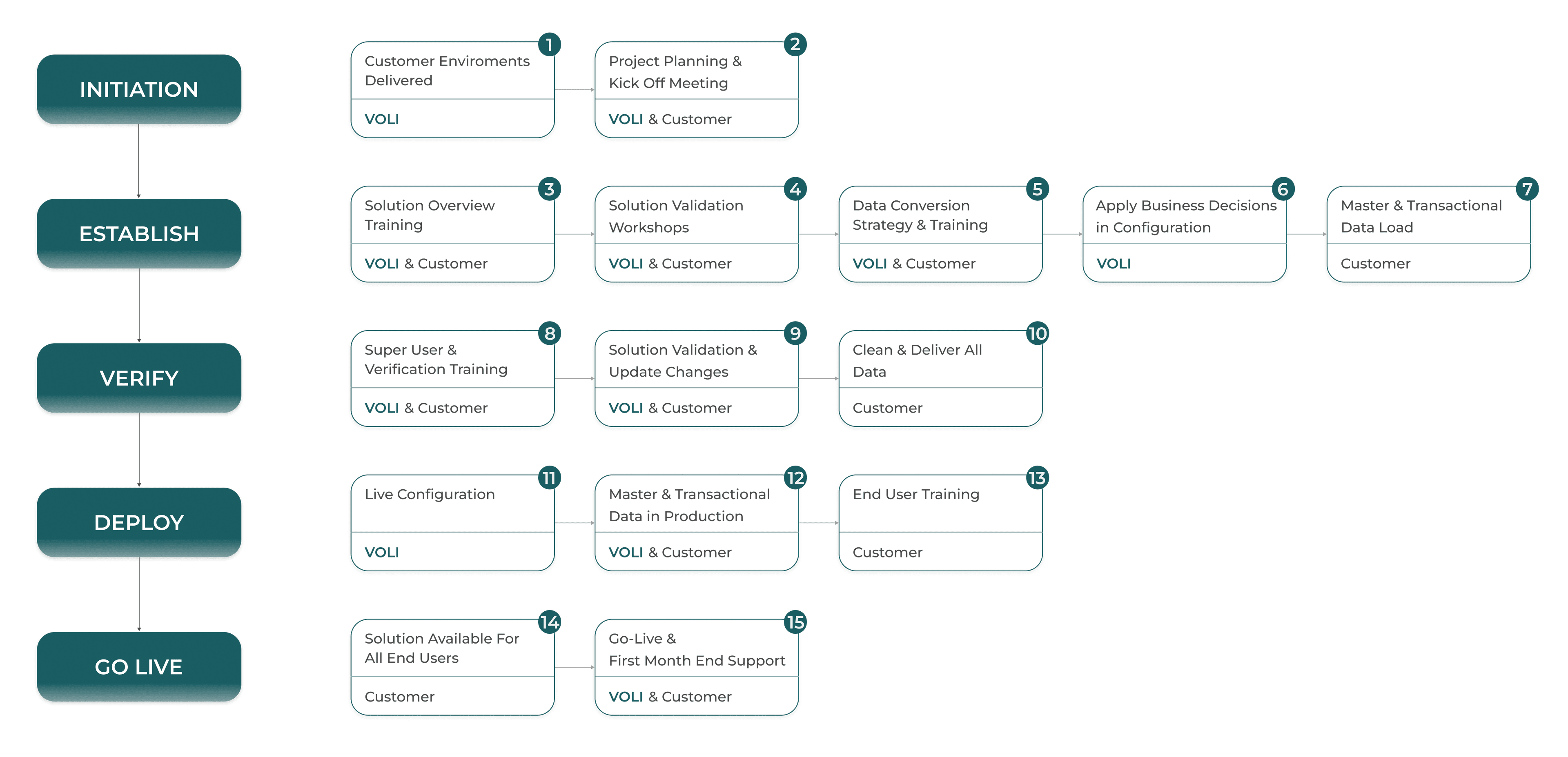 15-step implementation approach